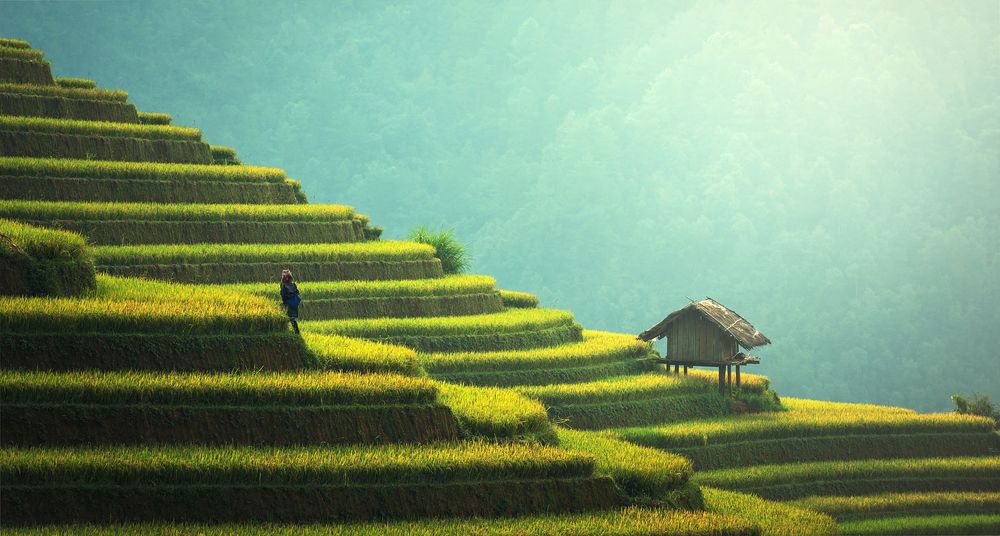 Sapa Vietnam travel