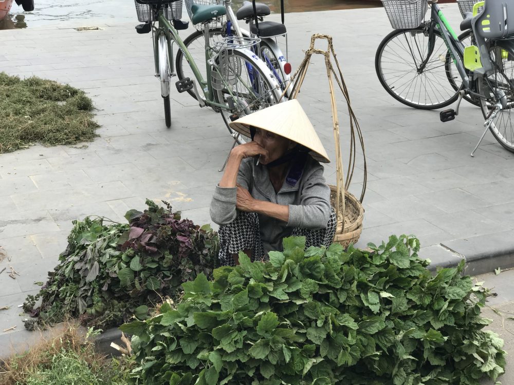 Things to do in Hoi An