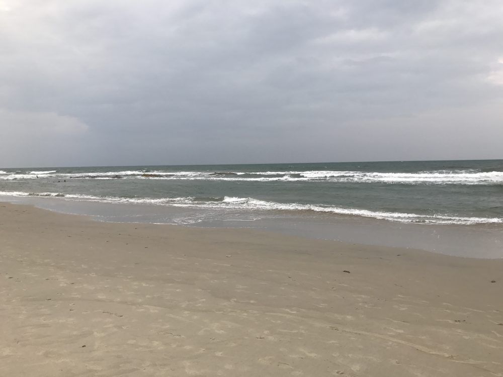 Things to do in Hoi An