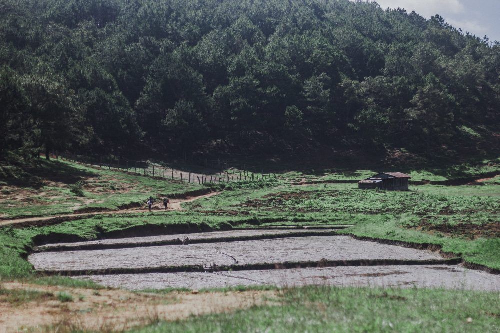 trekking in vietnam