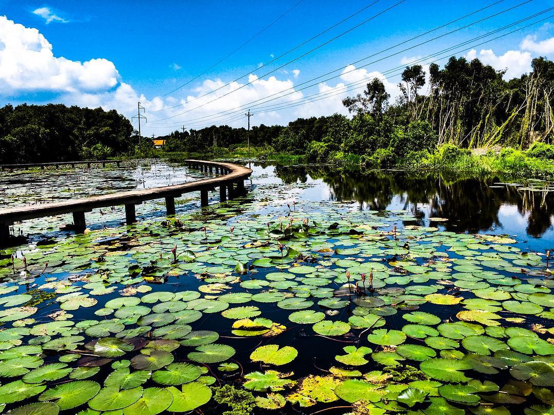 Image courtesy @gauvitamin ho chi minh weather december