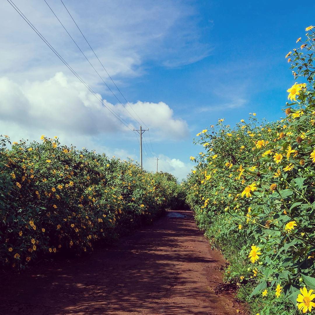 Image courtesy @peopleliketogotoplaces ho chi minh weather december
