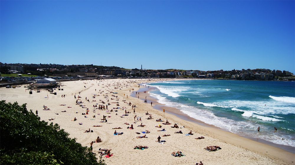 things to do in sydney