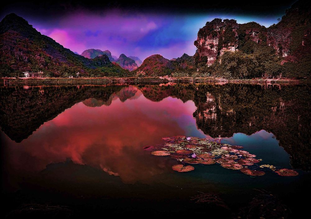 hoa lu tam coc
